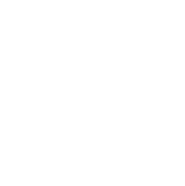 WM Casino gaming platform logo